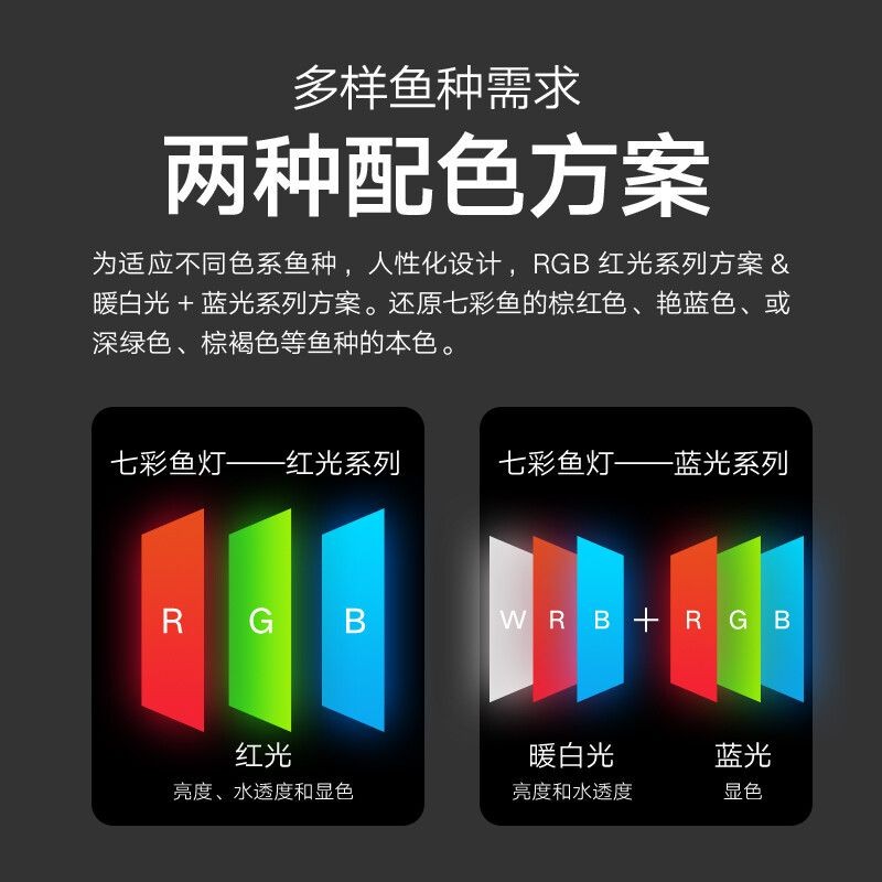 魚缸燈的顏色如何改變：熱帶魚的色彩學研究熱帶魚的色彩學研究熱帶魚的色彩變化