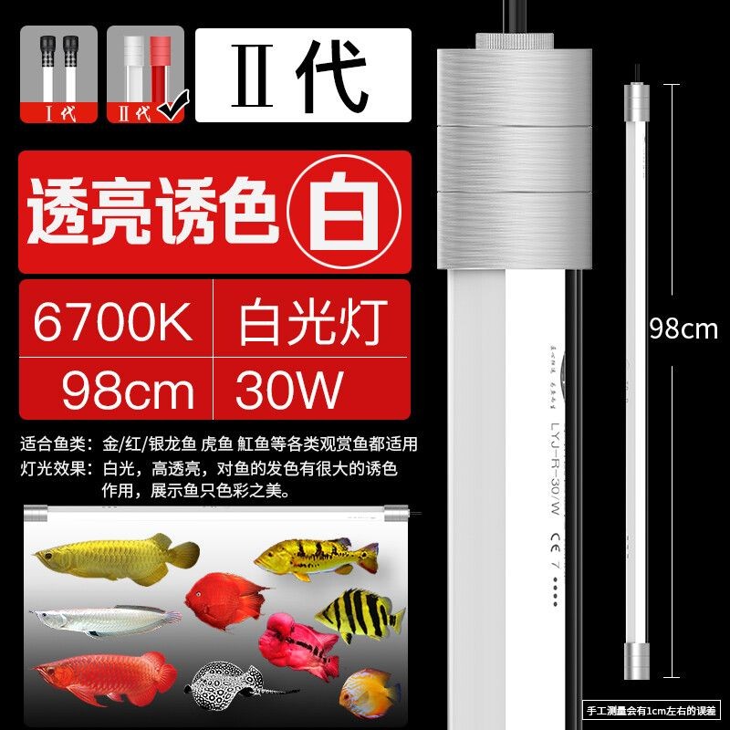 魚缸燈的顏色如何改變：熱帶魚的色彩學研究熱帶魚的色彩學研究熱帶魚的色彩變化
