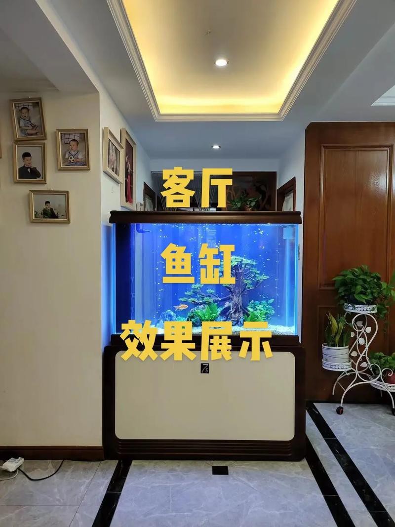 客廳放魚缸的最佳位置風水圖