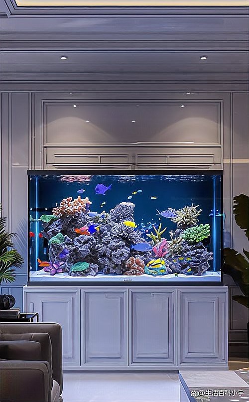 客廳放魚缸的最佳位置風水圖