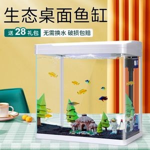 魚缸LED燈色溫選擇技巧：魚缸led燈品牌推薦