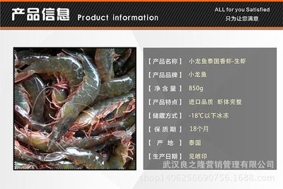 小龍魚(yú)的樣子描寫(xiě)：小龍魚(yú)是一種美麗的觀賞魚(yú)