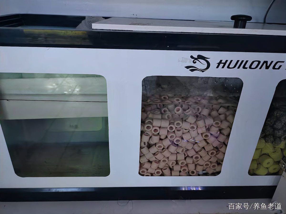 過濾箱濾材的正確放置方法