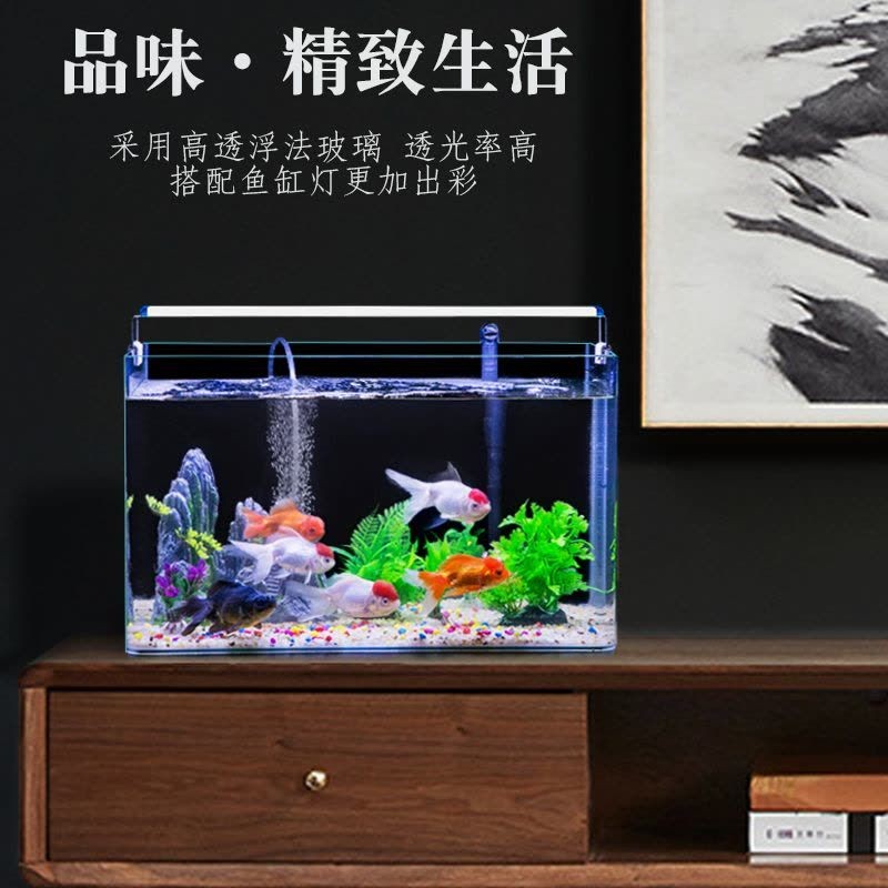魚缸裝飾品的搭配技巧:如何搭配魚缸裝飾品? 魚缸百科 第3張 魚缸裝飾品的搭配技巧:如何搭配魚缸裝飾品? 魚缸裝飾品的搭配技巧:如何搭配魚缸裝飾品? 魚缸百科 第3張