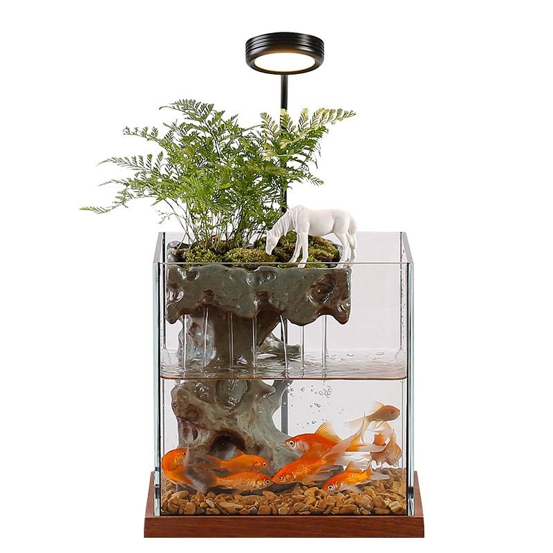 魚缸裝飾品的搭配技巧:如何搭配魚缸裝飾品? 魚缸百科 第5張 魚缸裝飾品的搭配技巧:如何搭配魚缸裝飾品? 魚缸裝飾品的搭配技巧:如何搭配魚缸裝飾品? 魚缸百科 第5張