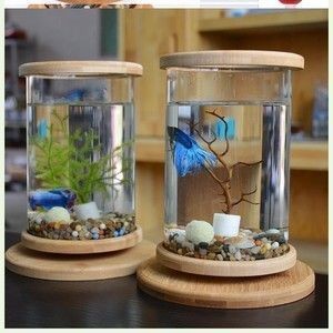 魚缸裝飾品的搭配技巧:如何搭配魚缸裝飾品? 魚缸百科 第4張 魚缸裝飾品的搭配技巧:如何搭配魚缸裝飾品? 魚缸裝飾品的搭配技巧:如何搭配魚缸裝飾品? 魚缸百科 第4張