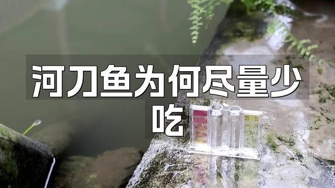 河刀魚為何盡量少吃