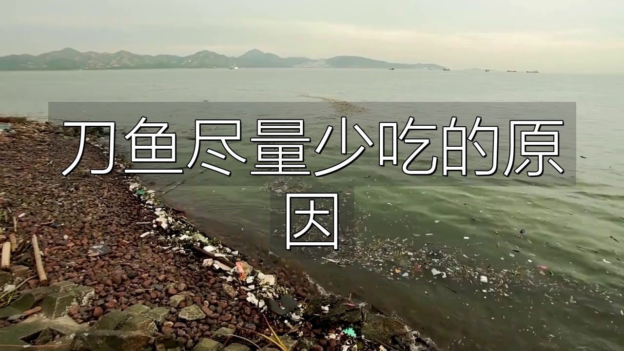 河刀魚為何盡量少吃