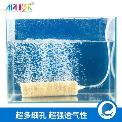 魚缸過濾器怎么放濾材：魚缸過濾器濾材擺放順序