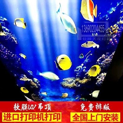 創世小玩家2魚缸：《創世小玩家2》魚缸設計教程80帥氣大魚缸制作流程