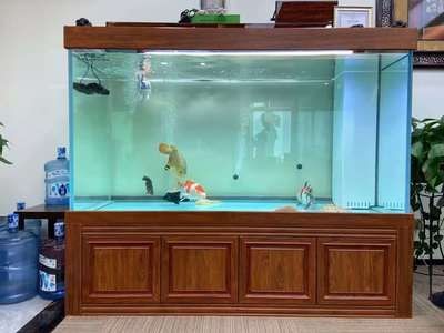 海景魚缸的養護秘訣：沿海城市養海景魚缸的優勢與挑戰沿海城市養海景魚缸的優勢