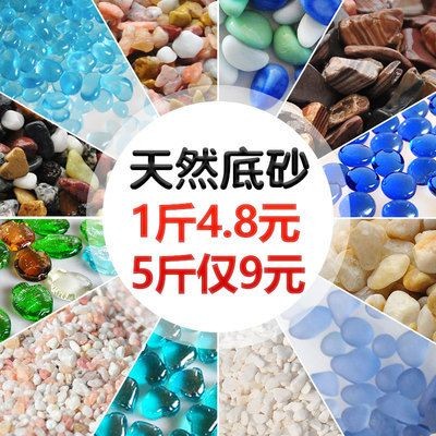 古典金龍和過背金龍哪個更好養 古典金龍和過背金龍哪個更好養 龍魚百科 第1張