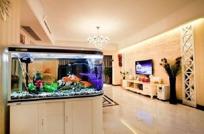床下放魚缸：“床下放魚缸”風水禁忌詳解床下放魚缸風水禁忌詳解