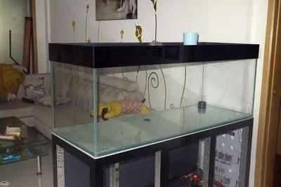 床下放魚缸：“床下放魚缸”風水禁忌詳解床下放魚缸風水禁忌詳解