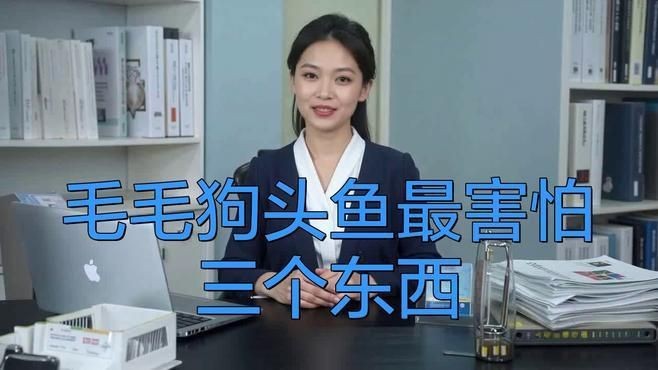 狗頭魚混養(yǎng)最忌三種東西