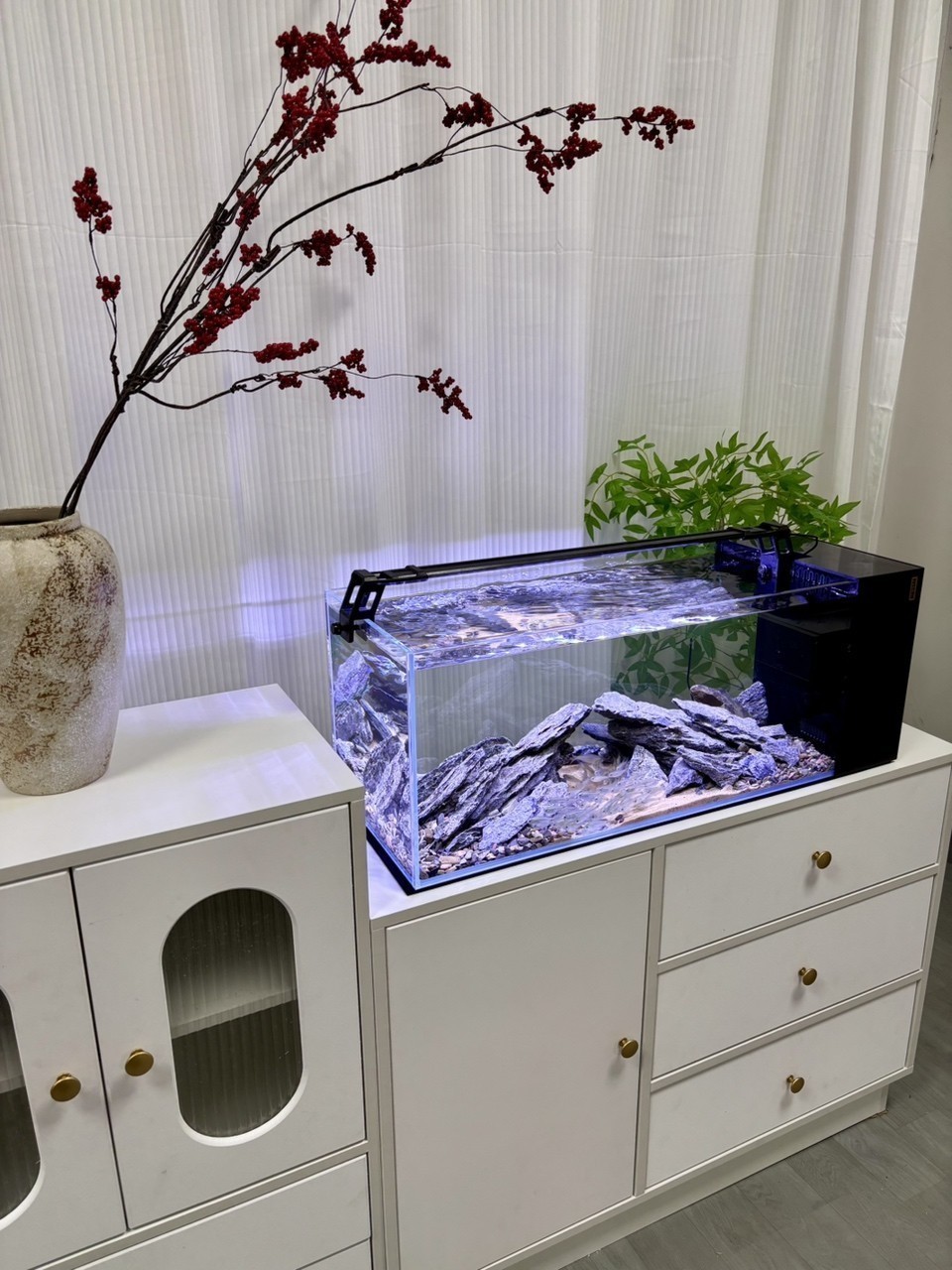 《魚缸分享｜我的養魚改造日記》
