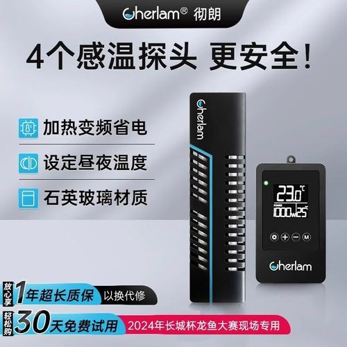 新手飼養龍魚需要哪些設備？