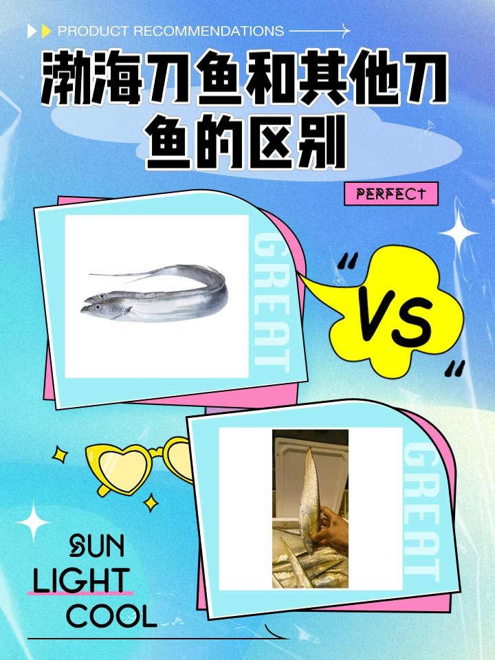 刀魚的種類和區別 刀魚的種類和區別 龍魚論壇 第7張