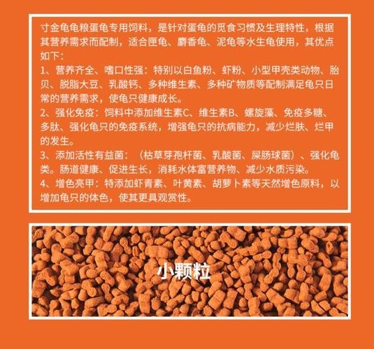 龍魚的飼料可以喂紅面蛋龜