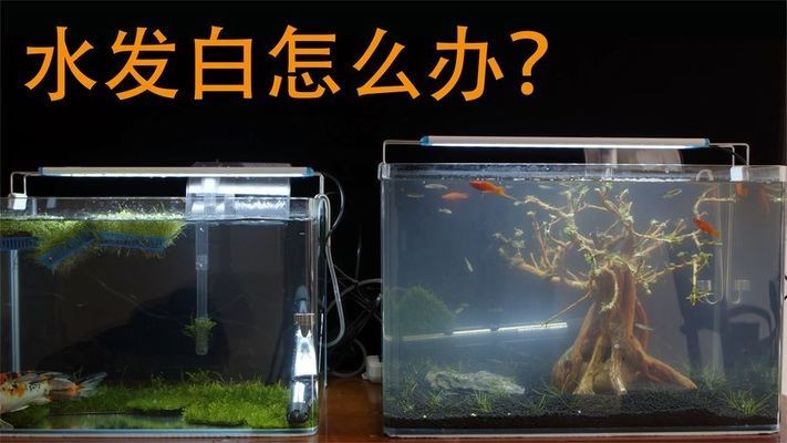 <strong><mark>方城</mark></strong>縣德云山野生動物園有限公司（<strong><mark>方城</mark></strong>德云野生動物園地址電話）