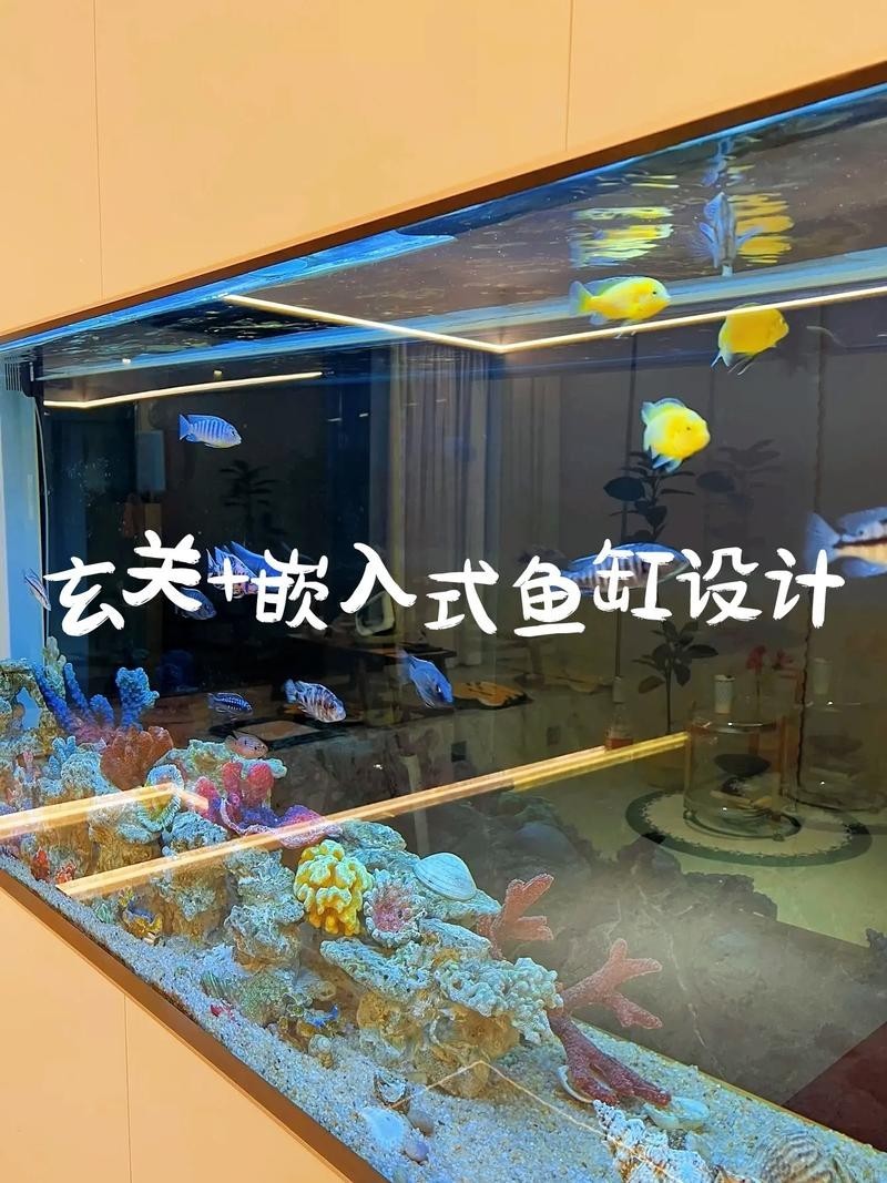 龍魚和關刀混養搭配圖