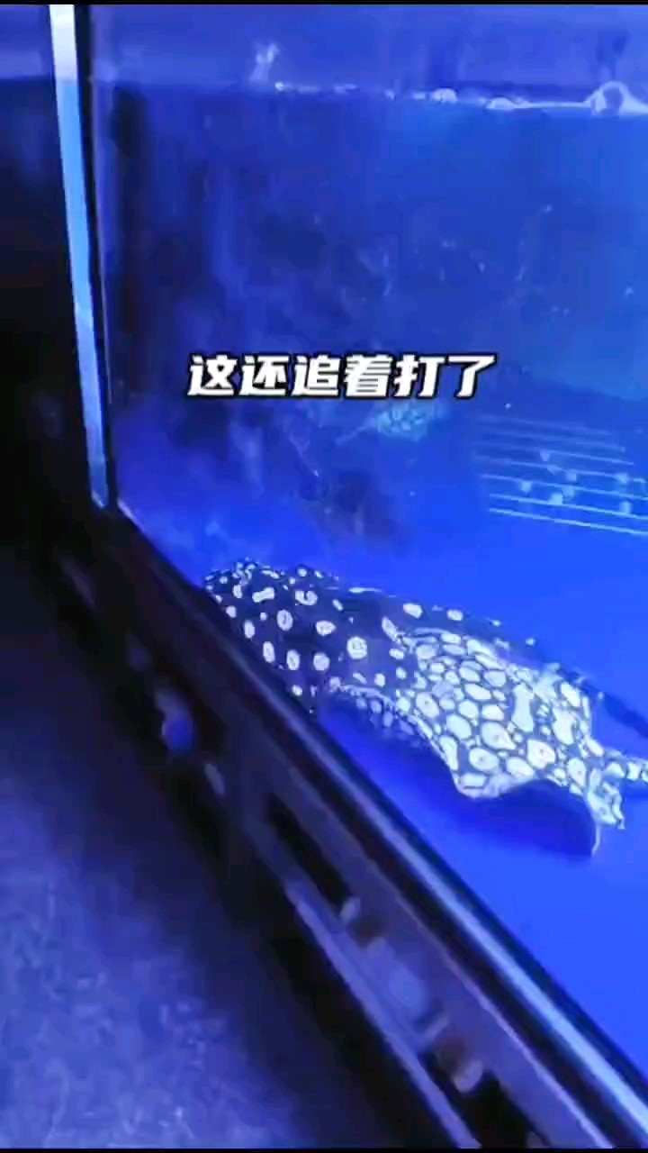 怎么能這樣欺負我