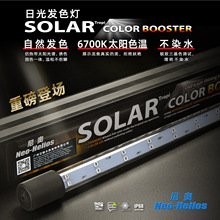 龍魚燈的價格范圍是多少