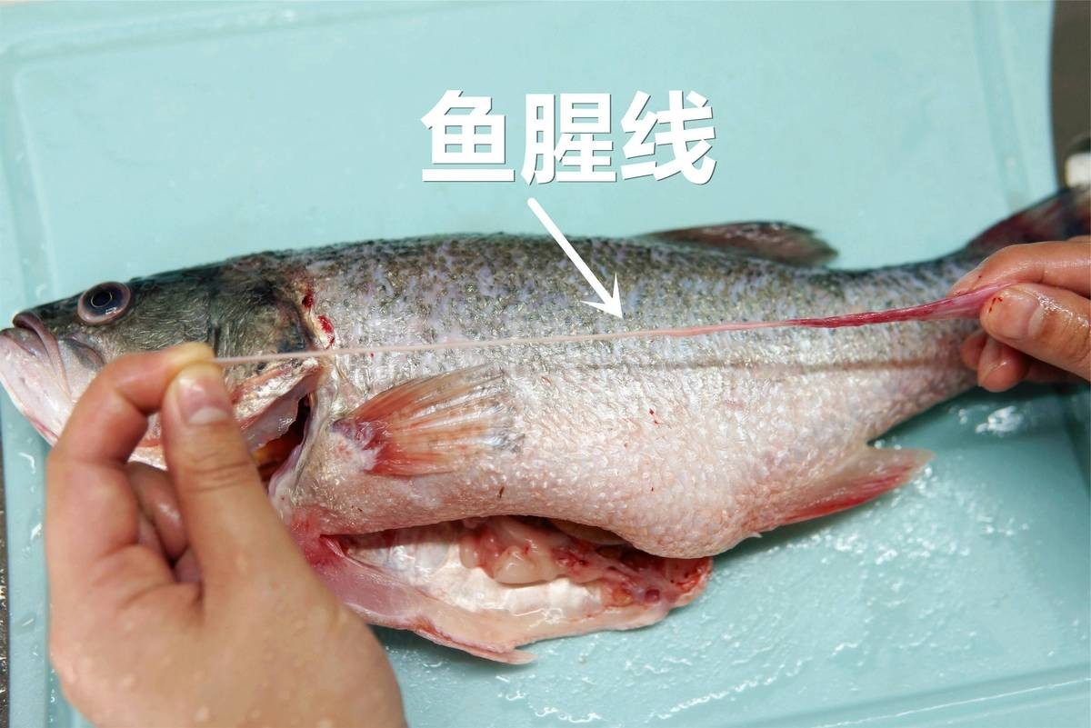 龍魚食用方法