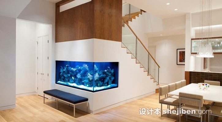 鶴崗市向陽區文卉水族館：鶴崗市向陽區文卉水族館地址