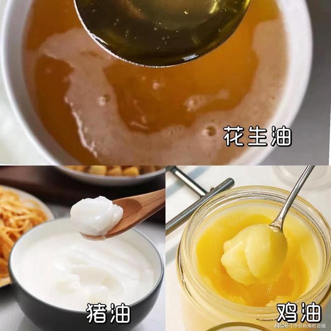 扎賚諾爾區知音觀賞魚店（扎賚諾爾區知音觀賞魚店電話）