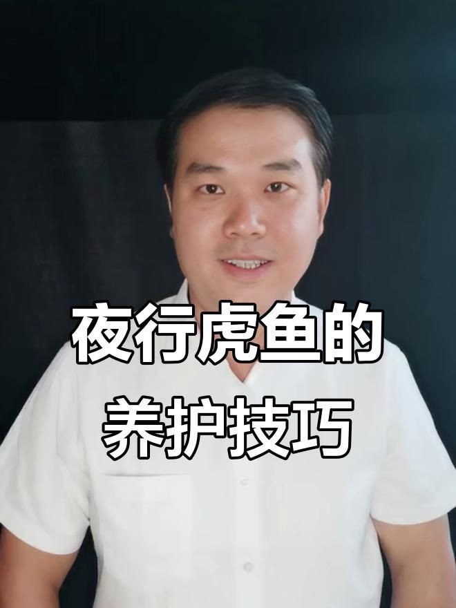 虎魚好養嗎