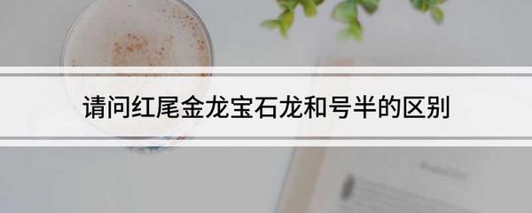 寶石龍魚有珠鱗嗎（寶石龍魚沒有珠鱗的表現）