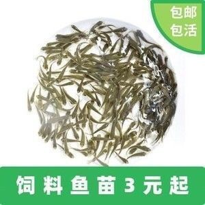 魚缸過濾器選購指南:自制魚缸過濾器魚缸上置過濾器對于養(yǎng)魚愛好者的必備知識 金川區(qū)上海路森森水族館(金川區(qū)上海路森森水族館電話) 全國水族館企業(yè)名錄 金川區(qū)上海路森森水族館(金川區(qū)上海路森森水族館電話) 金川區(qū)上海路森森水族館(金川區(qū)上海路森森水族館電話) 全國水族館企業(yè)名錄