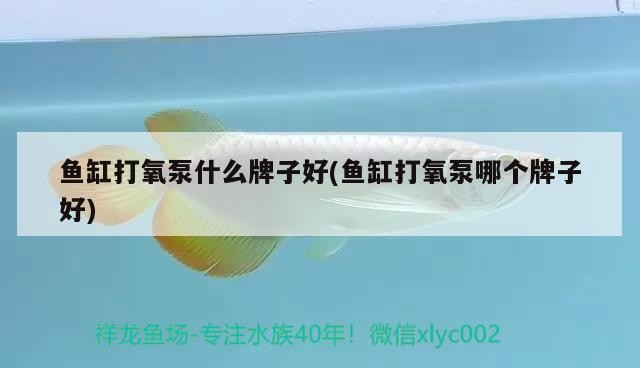 唐山市<strong><mark>路北</mark></strong>區鳳凰道漁家水族店