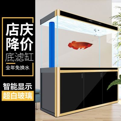 魚缸生態系統的選擇與維護：冠吉魚缸出水過濾的具體措施可以幫助養魚缸生態系統