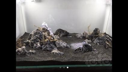 瘋狂石頭魚缸過濾器的工作原理是水族箱養護中的重要設備：瘋狂的石頭魚缸過濾器怎么選 瘋狂石頭魚缸過濾器的工作原理是水族箱養護中的重要設備：瘋狂的石頭魚缸過濾器怎么選 魚缸百科 第1張
