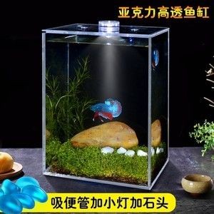 瘋狂石頭魚缸過濾器的工作原理是水族箱養護中的重要設備：瘋狂的石頭魚缸過濾器怎么選 瘋狂石頭魚缸過濾器的工作原理是水族箱養護中的重要設備：瘋狂的石頭魚缸過濾器怎么選 魚缸百科 第3張