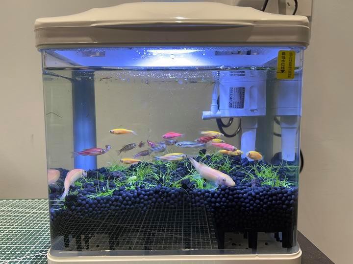 森森魚缸老款安裝方法詳解