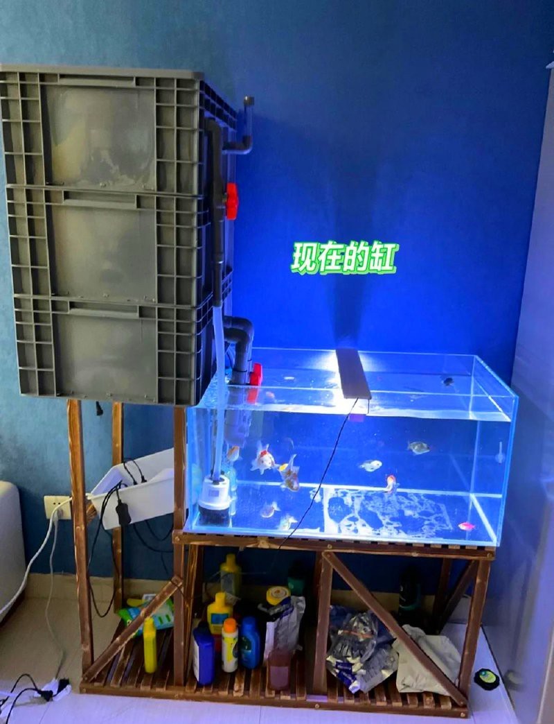 森森魚缸老款安裝方法詳解