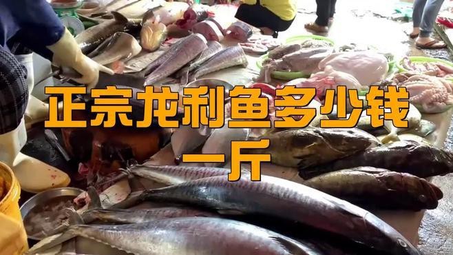 龍利魚的市場價格波動大嗎？