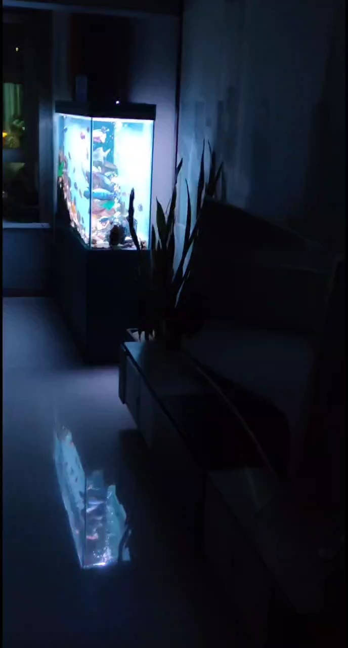 不斷變化的魚缸