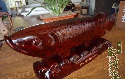 紅龍魚放沉木好嗎，：沉木對紅龍魚的影響 紅龍魚放沉木好嗎，：沉木對紅龍魚的影響 龍魚百科 第2張