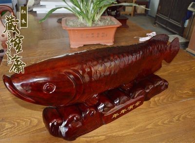 紅龍魚放沉木好嗎，：沉木對紅龍魚的影響 紅龍魚放沉木好嗎，：沉木對紅龍魚的影響 龍魚百科 第1張