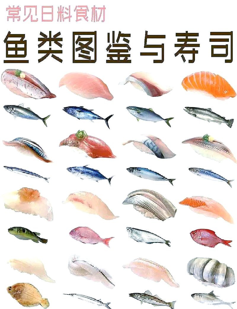 日本最常吃十大魚(yú)