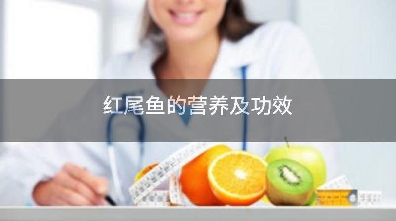 紅尾魚好處與壞處