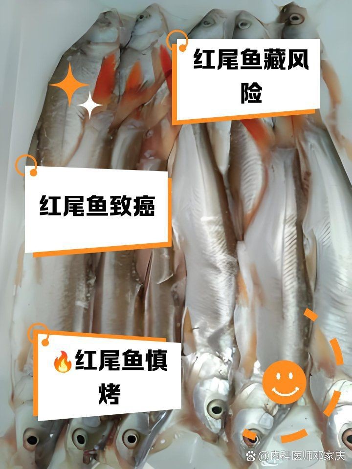 紅尾魚好處與壞處 紅尾魚好處與壞處 龍魚論壇 第12張