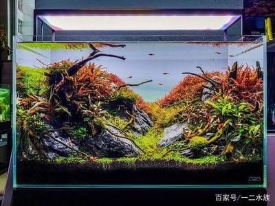 龍魚(yú)之家魚(yú)缸計(jì)算器：龍魚(yú)之家魚(yú)缸玻璃計(jì)算器