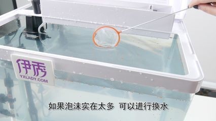 底濾魚缸換水步驟：關于底濾魚缸換水的教程