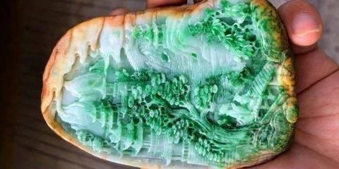 大金萬龍魚：“大金萬龍魚”是一種非常名貴的金龍魚品種其價格極高