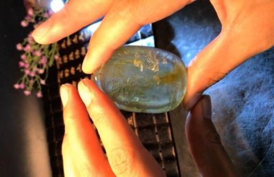 大金萬龍魚：“大金萬龍魚”是一種非常名貴的金龍魚品種其價格極高